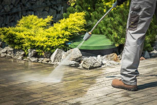 Best Solar Panel Cleaning  in Adairsville, GA